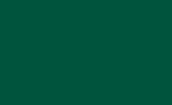 Софит Satin Grand Line с перфорацией RAL 6005 Зеленый мох
