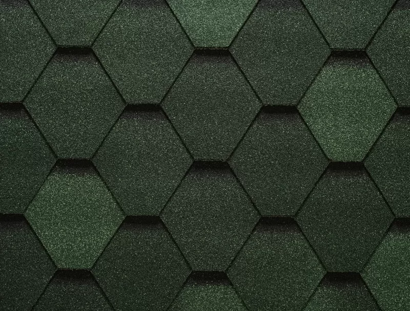 Sota — Тайга